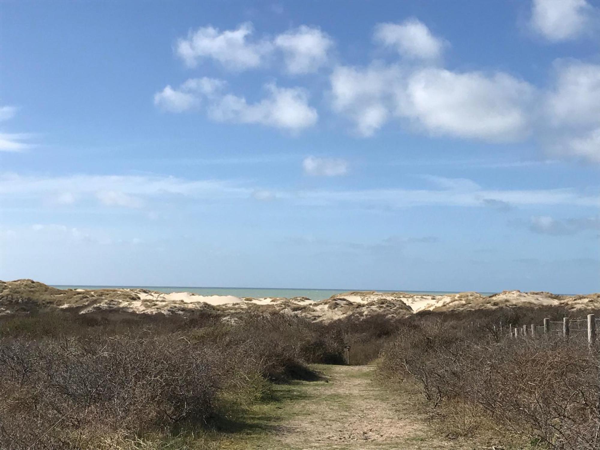 Petale De Rose, Dunes 3 Merlimont Plage Dış mekan fotoğraf